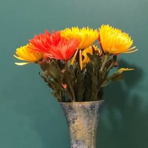 Meet your Posher, Lynda